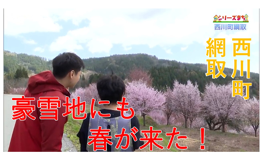 ピヨ卵「シリーズまち」西川町綱取編 - YBC 山形放送