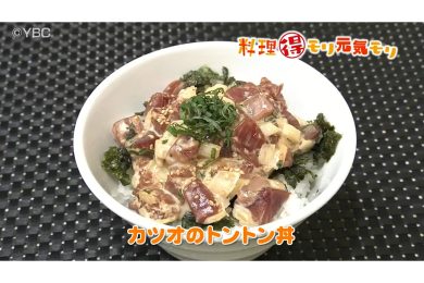 11月18日放送　菅野由子先生　かつおのトントン丼